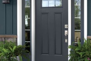 Provia Entry Door